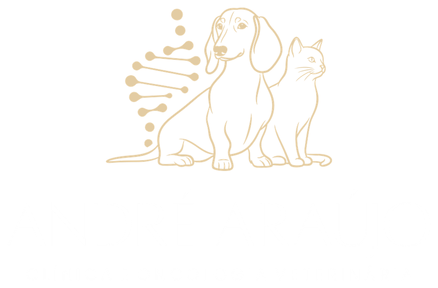 André Araújo — Clínica e Oncologia Veterinária